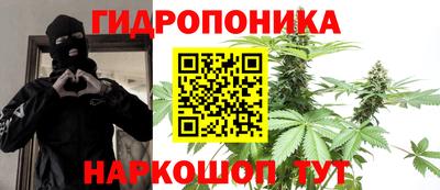 Альфа ПВП Кингисепп