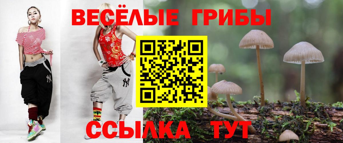 Псилоцибиновые грибы Psilocybe Краснокаменск